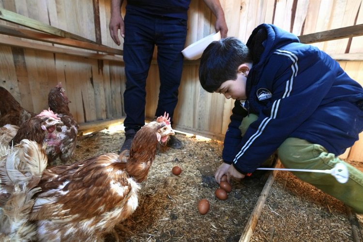 Üsküdar Çocuk Köyü ilk iftara hazırlanıyor