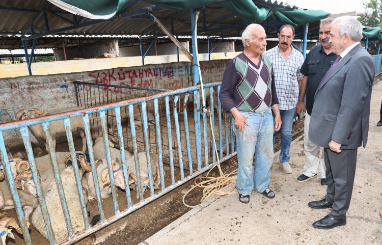 Başkan Şadi Özdemir kurban pazarını ziyaret etti
