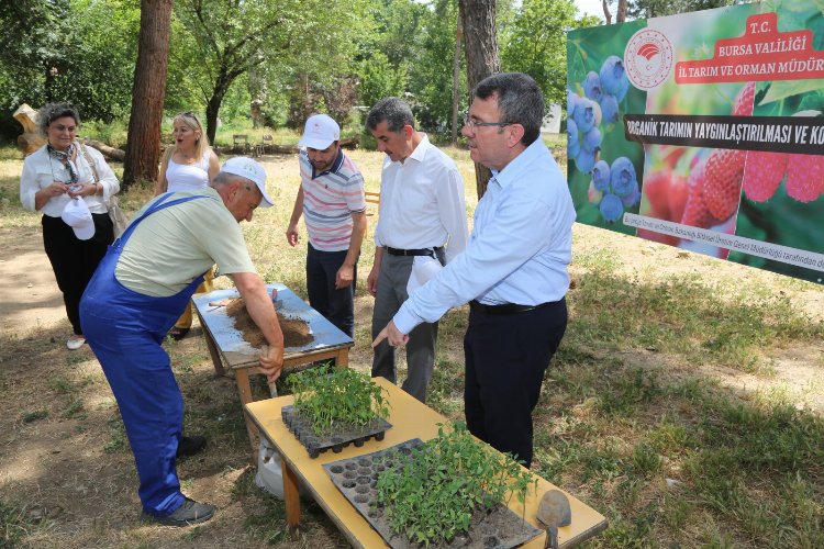 Bursa’da ‘organik tarım’ minik ellere emanet