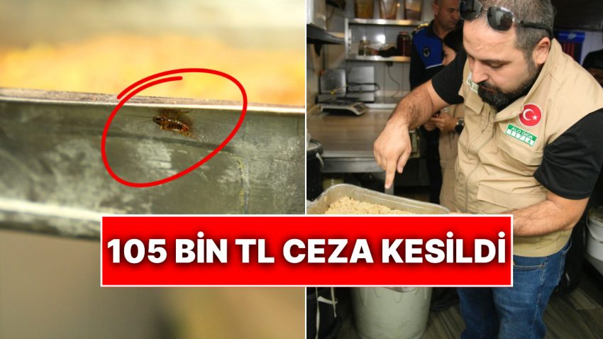 Adana’da Bir Tatlıcı Sınıfta Kaldı: Yapılan Hijyen Denetiminde Mutfaktan Böcekler Çıktı