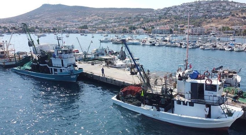 Denizlerde balık av dönemi sona erdi – Düzgün Haber