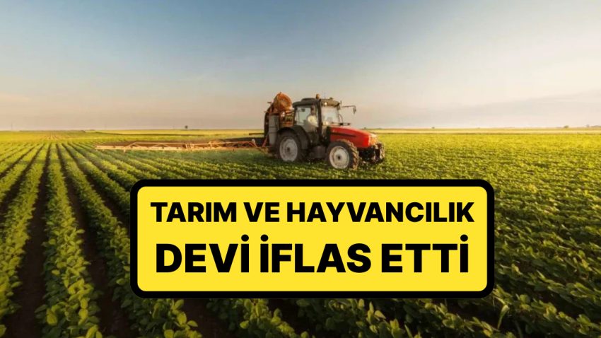 Konkordato Talebi Kabul Edilmedi: Tarım ve Hayvancılık Devi İflas Etti