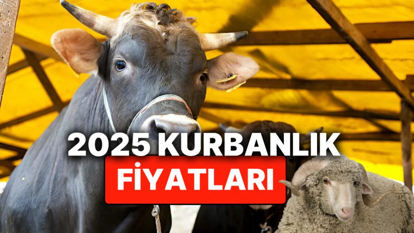 Kurbanlık Fiyatları 2025! Dana, Tosun, Koyun, Küçükbaş ve Büyükbaş Kurban Fiyatları Ne Kadar?