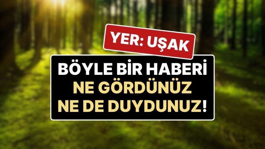 Ormana Gidince Kendisinden Haber Alınamayan Kişi, Kurtarma Gruplarıyla Birlikte ‘Kendisini Aradı!’