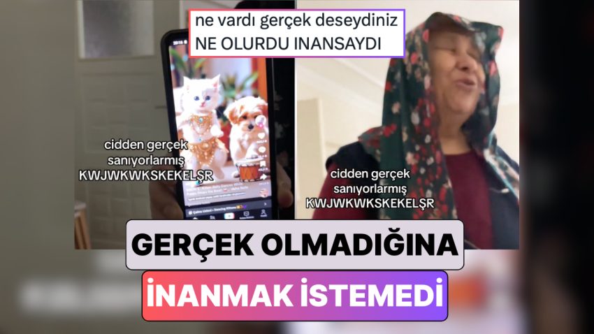 Oryantal Oynayan Kedi Görüntüsünün Gerçek Olmadığını Öğrenen Babaanne Hayal Kırıklığına Uğradı
