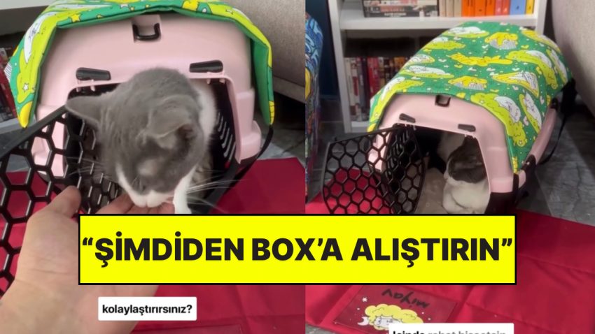 Sarsıntı Sırasında Evcil Hayvanlarımızı Nasıl Daha Kolay Yakalarız?