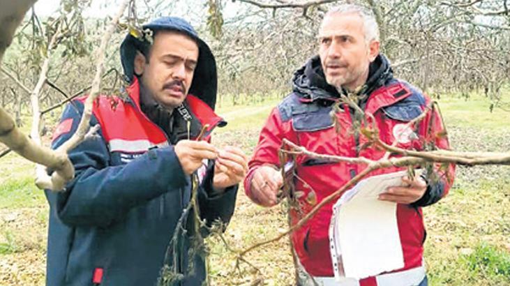 Sigorta ödemeleri nasıl olacak? – Düzgün Haber