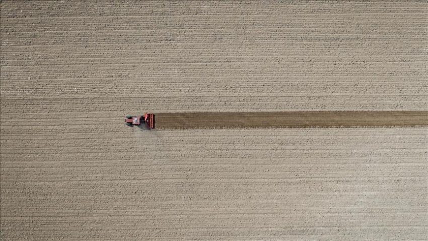 Tarım ÜFE martta arttı – Düzgün Haber