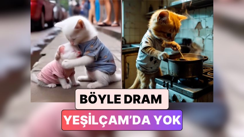 Başrollerinde Kedilerin Yer Aldığı Bu Yapay Zeka Sinemaları İzlerken Yüreğiniz Dağlanacak