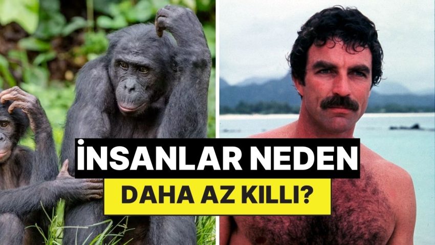 Beşerler Neden Öteki Memeliler Kadar Kıllı Değil?