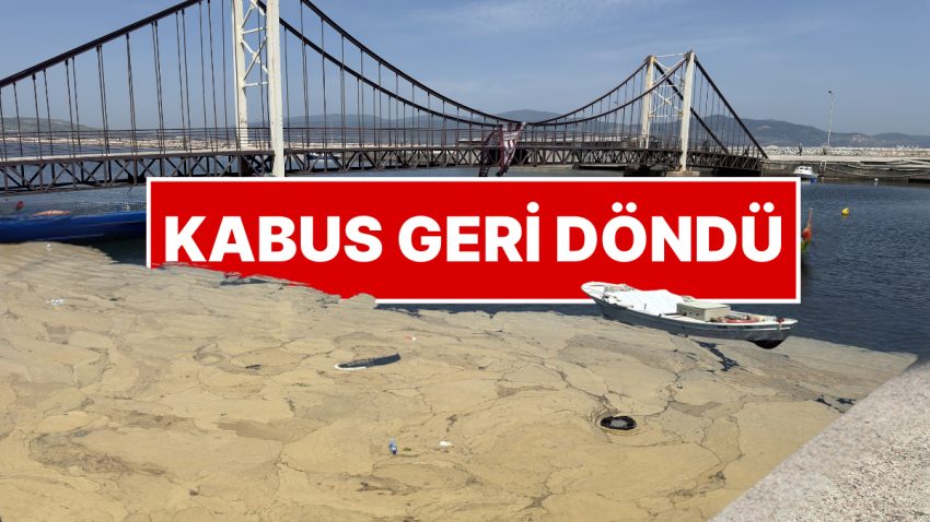 Kabus Geri Döndü! Marmara Denizi’nde Müsilaj İşgali Adım Adım Görüntülendi