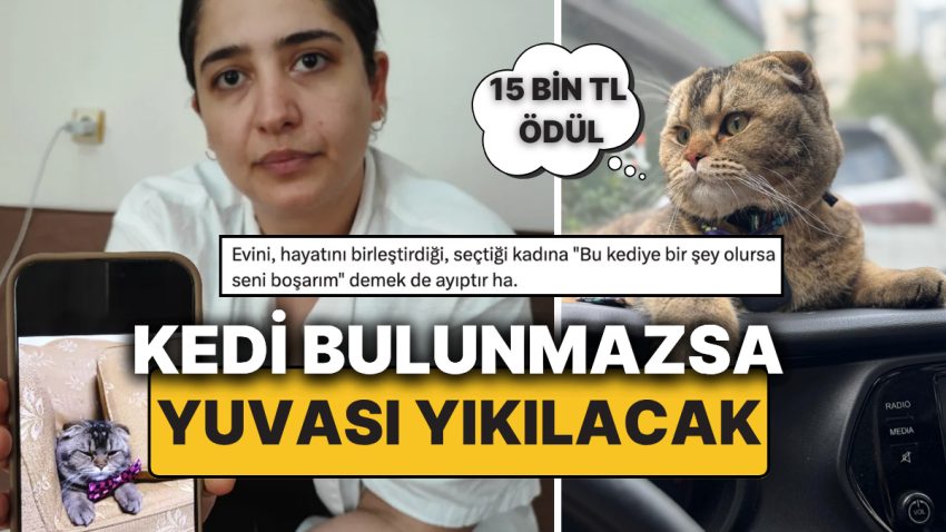 Kayıp Kediyi Bulana 15 Bin TL Ödül, Yoksa Yuvası Yıkılacak “Kediye Bir Şey Olursa Seni Boşarım!”