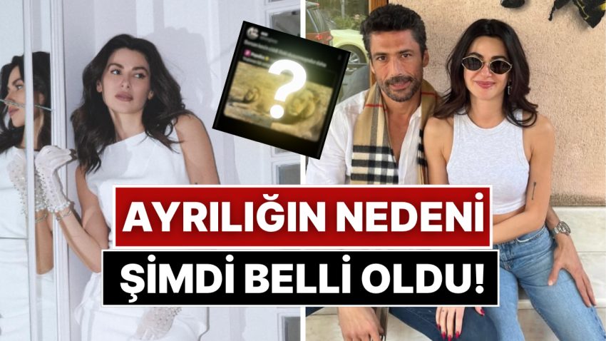 Nesrin Cavadzade’nin Ortalığı Kötü Karıştıracak Paylaşımı Pamir Pekin’e Gönderme Olabilir mi?