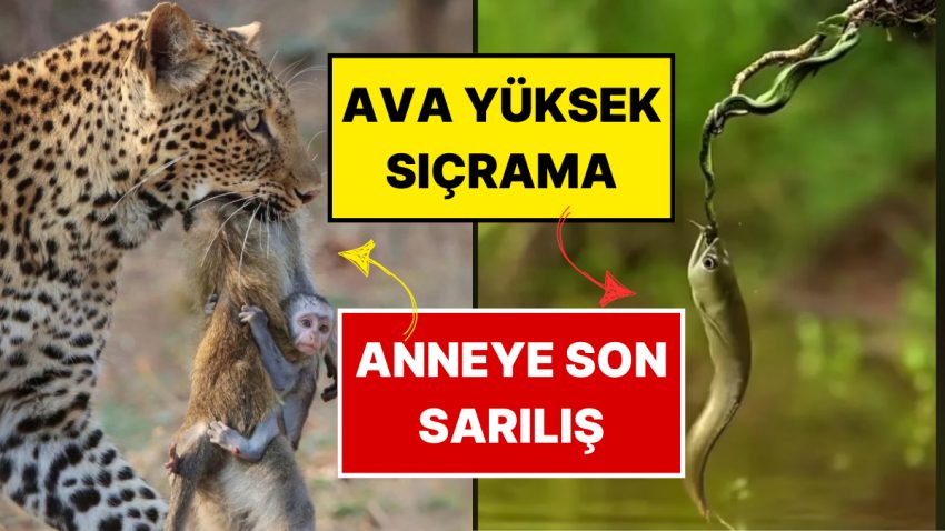 Tabiatın Korkutucu Yüzünü İliklerinize Kadar Hissetmenize Sebep Olacak Birbirinden Ürkütücü 15 Yeni Fotoğraf