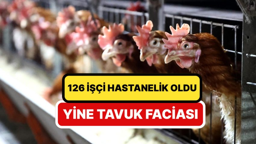 Tekrar Tavuk Tekrar Zehirlenme: 126 Emekçi Hastanelik Oldu