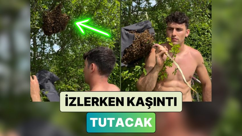 Bir Ağaca Yuva Yapan Arıları Tişörtü ile Alarak Öteki Bir Yere Taşıyan Adamı İzlerken Kaşıntı Tutacak