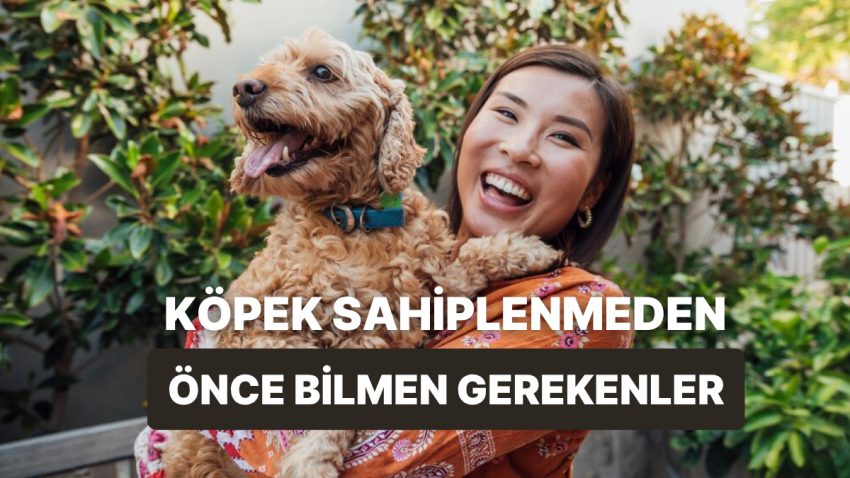 Birinci Kere Köpek Sahipleneceklerin Her Şeyi Öğrenmesini Sağlayacak Küçük Rehber