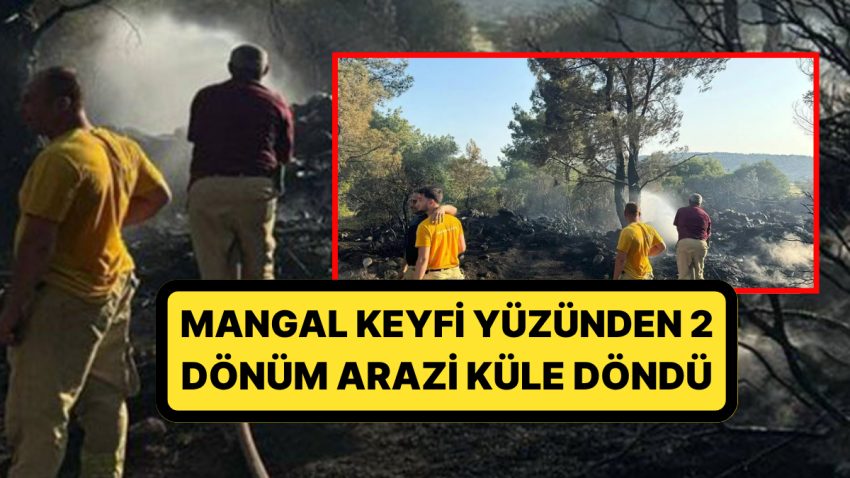 İzmir’de Mangal Ateşi Orman Yaktı: 1 Kişi Cezaevine Gönderildi