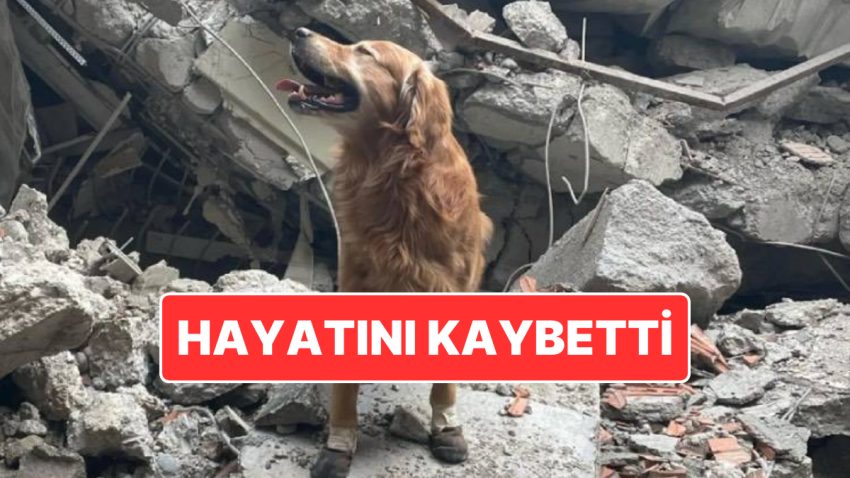 Kahramanmaraş Zelzelesinde 18 Kişiyi Hayatta Tutmuştu: Killian Hayatını Kaybetti