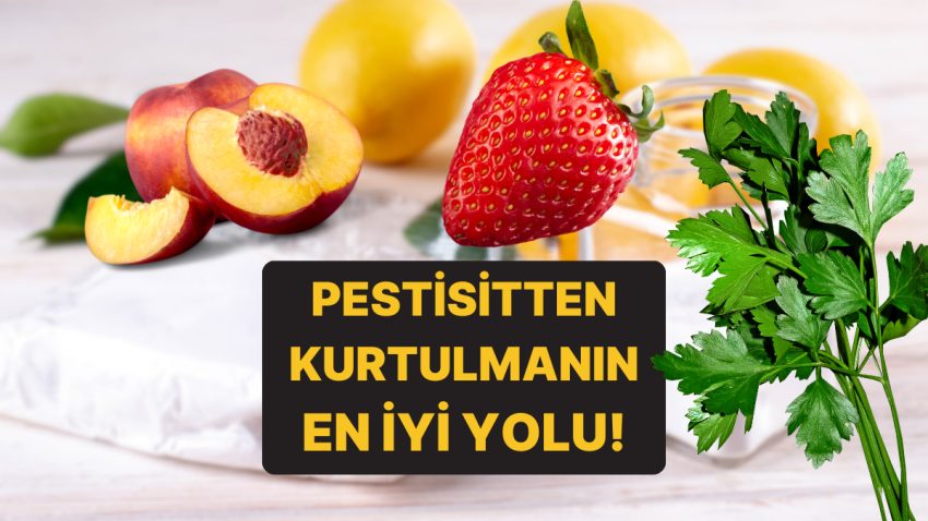 Karbonat, Sirke, Limon: Pestisitlerden Kurtulmanın En Âlâ Yolunu Uzmanlar Açıkladı!