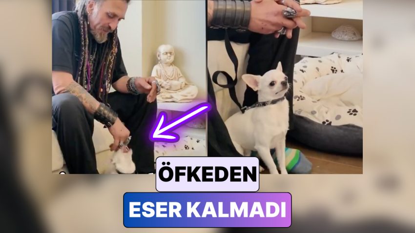 Kendi Küçük Öfkesi Dev: Bir Köpek Eğitmeni Saldırganlığı ile Bilinen Köpeği Muma Çevirdi