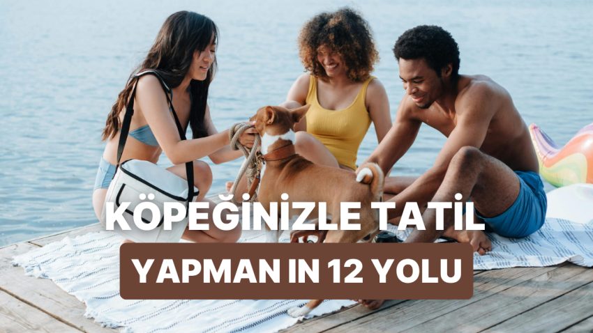 Köpeğinizle Tatile Çıkarken Bilmeniz Gereken 12 Tüyo