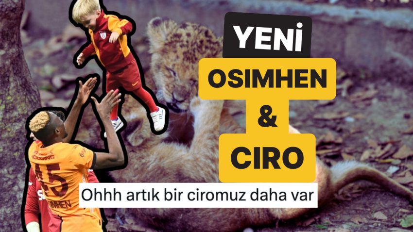 Öteki İsim Düşünülemezdi: Antalya’da İkiz Yavru Aslanlara “Osimhen” ve “Ciro” İsmi Verildi