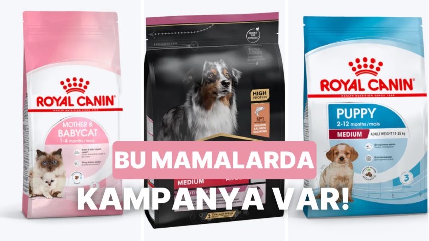 Patili Dostu Olanlar Buraya! Kampanyalı 10 Eser