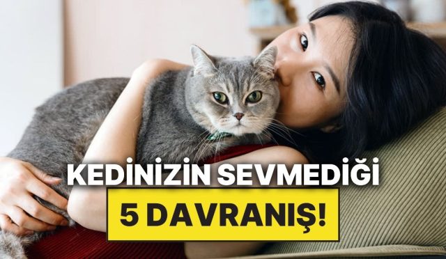 siz-fark-etmeseniz-de-kedinizin-hic-sevmedigi-davranislar-Yd3d5pvz.jpg