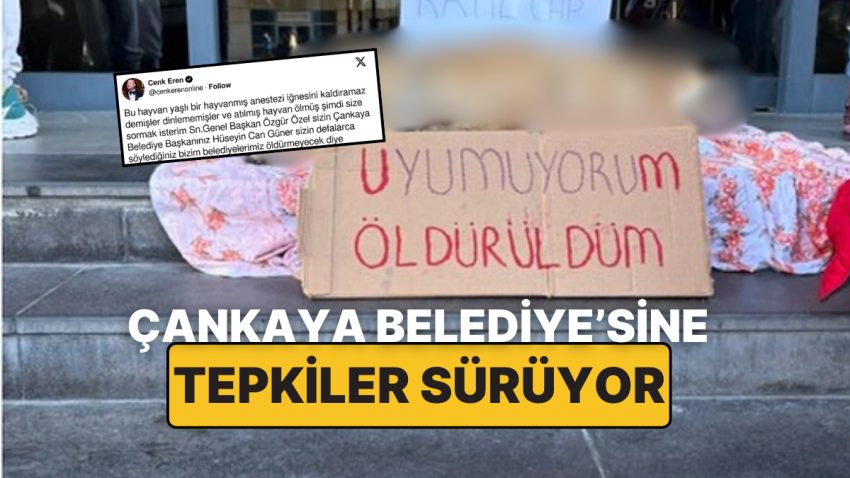 Sokak Köpeğinin Vefatı Hayvanseverleri Harekete Geçirdi: Çankaya Belediyesi Önünde Protesto