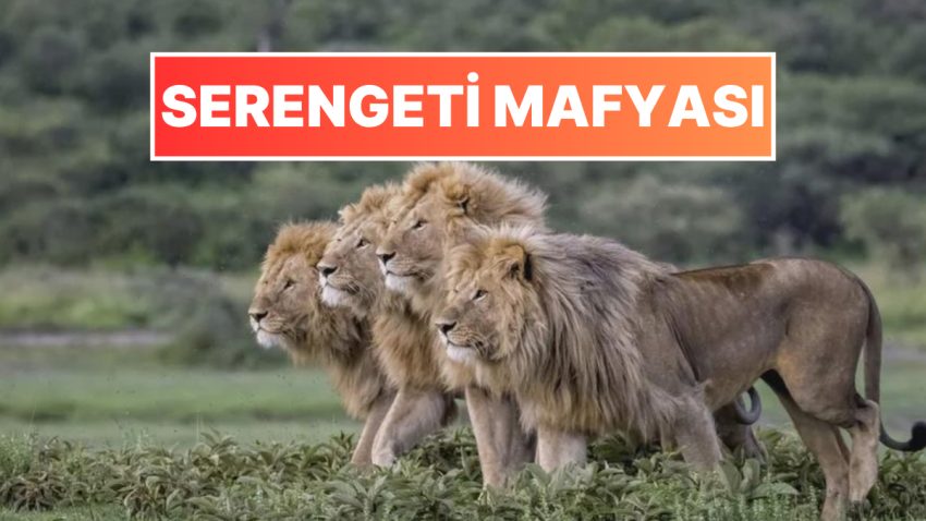 Tabiatın Korkutucu Yüzünü İliklerinize Kadar Hissetmenize Sebep Olacak Birbirinden Ürkütücü 15 Yeni Fotoğraf