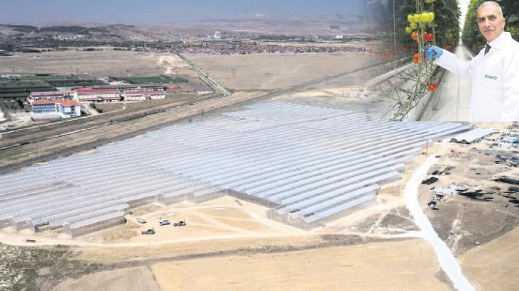 Tarıma 2 yılda 300 milyon dolar yatırım – Düzgün Haber