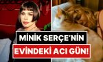 albumun-basarisina-sevinememis-bile-pasa-gonlunden-geceni-soyleyen-sezen-aksunun-konutundaki-aci-gun-KOIHjU7D.jpg
