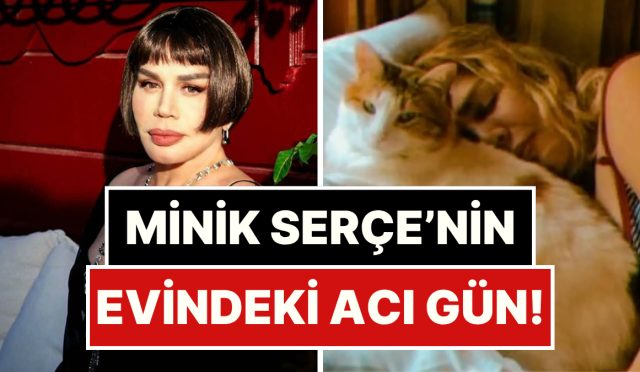 albumun-basarisina-sevinememis-bile-pasa-gonlunden-geceni-soyleyen-sezen-aksunun-konutundaki-aci-gun-KOIHjU7D.jpg