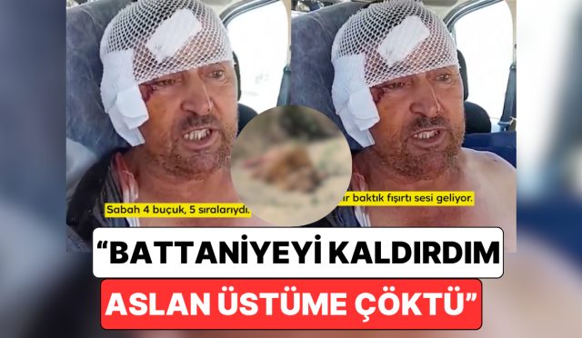 antalyada-hayvanat-bahcesinden-kacan-aslanin-saldirisina-ugrayan-sanssiz-adam-yasadiklarini-anlatti-i1xh7GK3.jpg