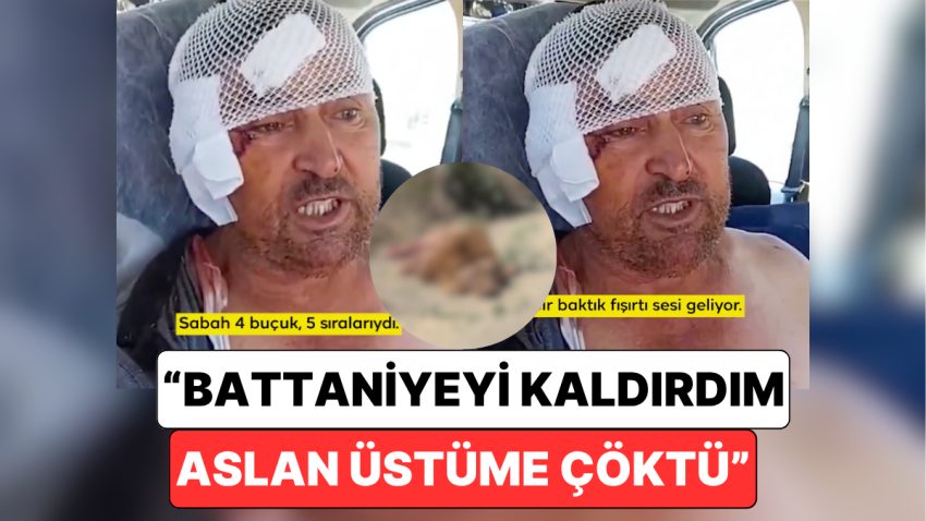 Antalya’da Hayvanat Bahçesinden Kaçan Aslanın Saldırısına Uğrayan Şanssız Adam Yaşadıklarını Anlattı
