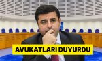 avrupa-insan-haklari-mahkemesinden-selahattin-demirtas-karari-fXYWvWpw.jpg
