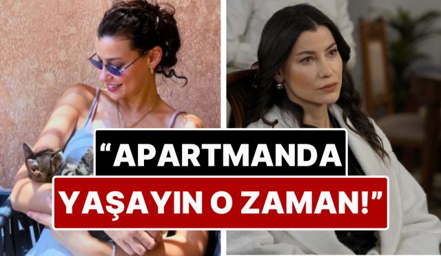 bahcesinde-sokak-kedilerini-besleyen-mujde-uzmani-komsulari-cimere-sikayet-etti-FNCml9Gm.jpg