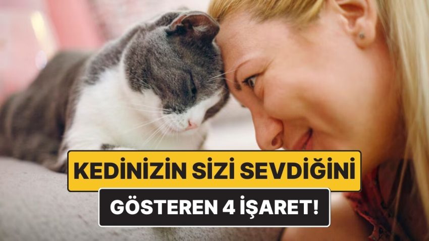 Bilime Nazaran Kedinizin Sizi Sevdiğini Gösteren 4 Kıymetli İşaret
