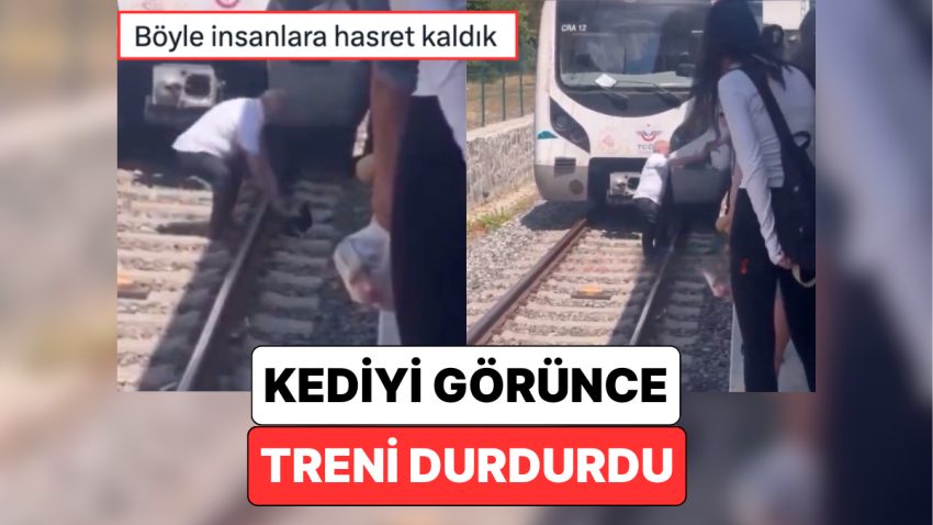 Boşuna Kedi Kenti Demedik: Bakırköy’de Seyir Halindeki Bir Makinist, Raylardaki Kediyi Görünce Treni Durdurdu