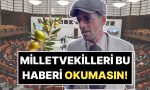 cemal-hunaldan-tbmm-gundemine-gelen-zeytinlik-maddesine-kufurlu-yorum-ZZnYm99U.jpg