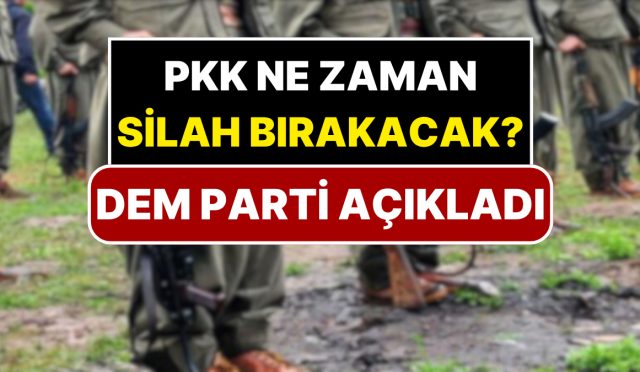dem-parti-pkknin-silah-birakacagi-tarihi-acikladi-XOXalqcu.jpg