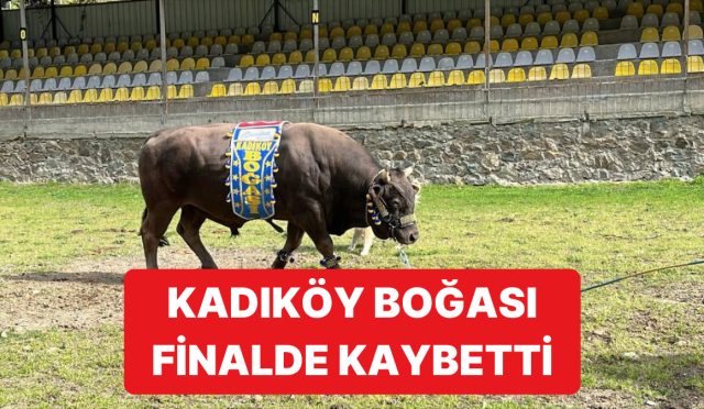 fenerbahce-baskani-ali-koc-sponsorlugundaki-kadikoy-bogasi-artvinde-kaybetti-HzL9p1Rp.jpg