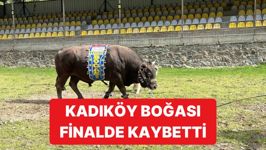 Fenerbahçe Başkanı Ali Koç Sponsorluğundaki Kadıköy Boğası Artvin’de Kaybetti