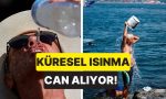 global-isinma-can-aliyor-avrupadaki-cok-sicaklar-yuzunden-10-gunde-2300-kisi-hayatini-kaybetti-EZWxufR3.jpg