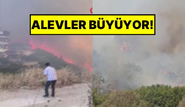 hatayda-cikan-orman-yangininda-konutlar-ziyan-gormeye-basladi-vatandaslar-guclu-anlar-yasiyor-XxqCaljH.jpg