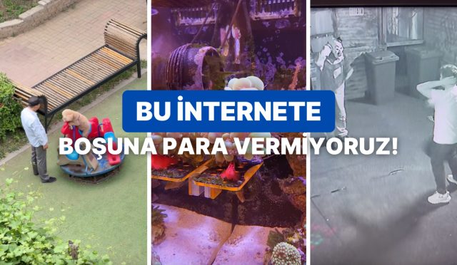 internete-verdigimiz-parayi-hak-edip-yuzumuzu-gulduren-10-paylasim-MBdvBz9Q.jpg