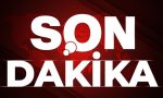 izmir-bilecik-ve-hatay-orman-yanginlarinin-bilancosu-muhakkak-oldu-K1S2D7XI.jpg