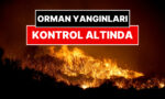 izmirdeki-orman-yanginlari-denetim-altina-alindi-bakan-ibrahim-yumakli-duyurdu-VMEwRELw.jpg