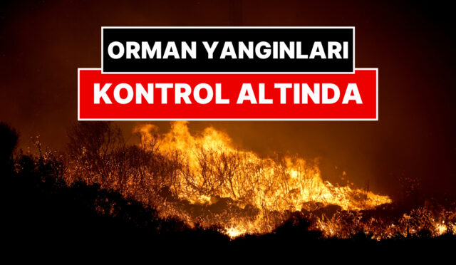 izmirdeki-orman-yanginlari-denetim-altina-alindi-bakan-ibrahim-yumakli-duyurdu-VMEwRELw.jpg